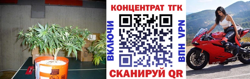 ОМГ ОМГ tor  Муром  Дистиллят ТГК жижа 